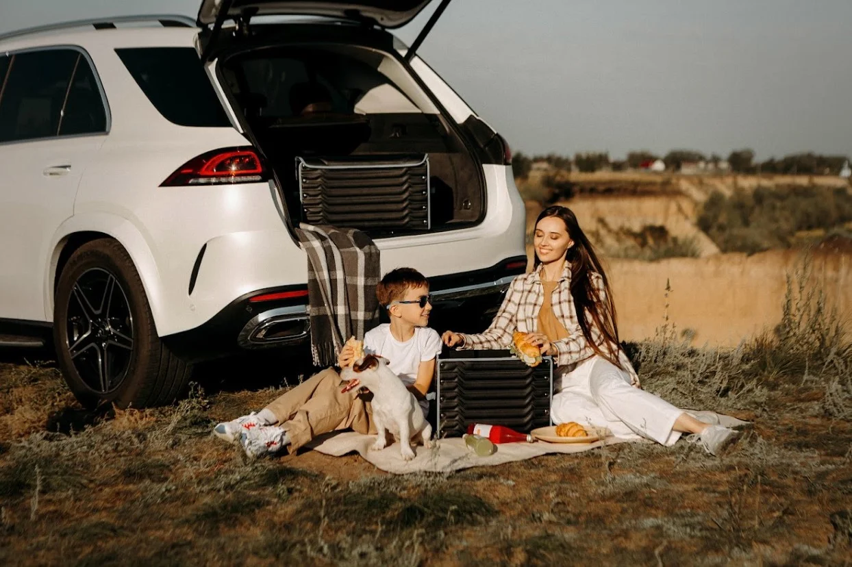 picnic blanket with bag