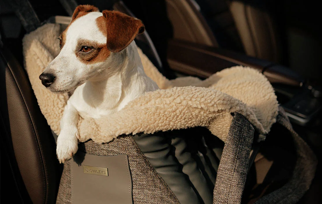Tesla Model Y Dog Carrier Car Seat for Japanese Chin