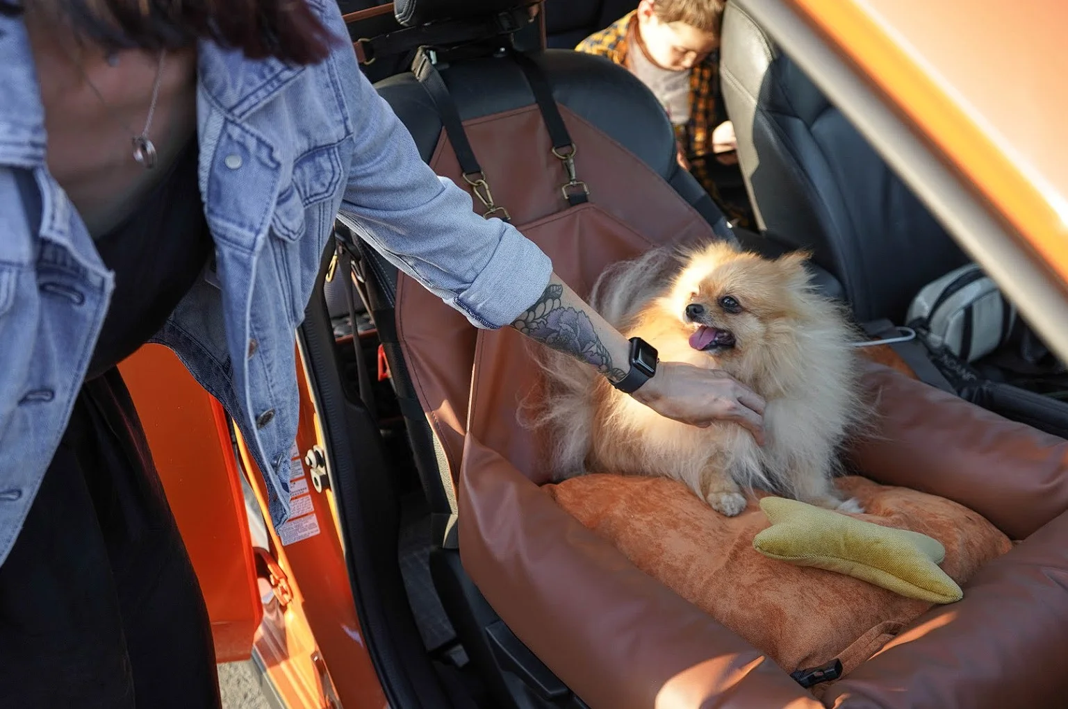 Kia Soul Dog Car Seat for Icelandic Sheepdogs